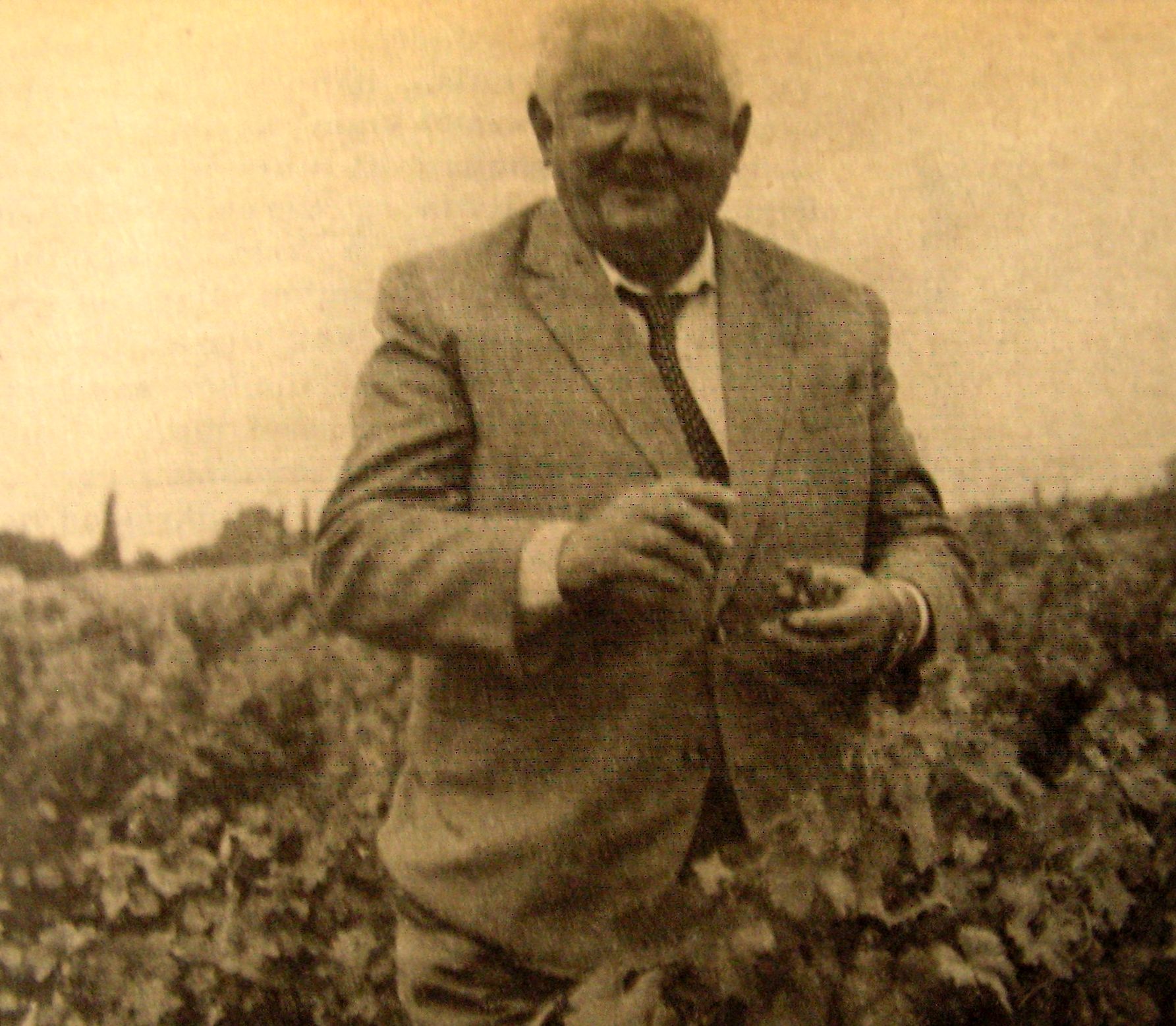 dr. Szegedi Sándor szőlőnemesítő 