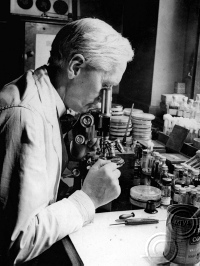 Sir Alexander Fleming a St. Mary' Hospitalban lévő laboratóriumában