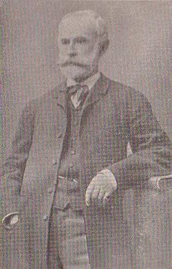 Karánsebesi képviselőként 1888-ban